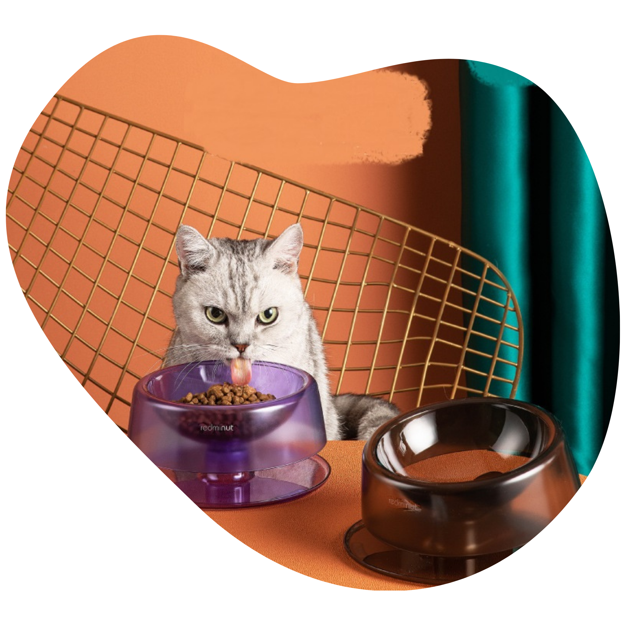 Bol de Nourriture Pour Animaux